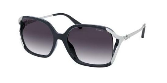Picture of Coach Sunglasses HC8280U