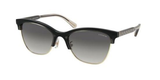Picture of Coach Sunglasses HC8277