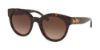 Picture of Coach Sunglasses HC8265F