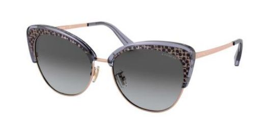 Picture of Coach Sunglasses HC7110