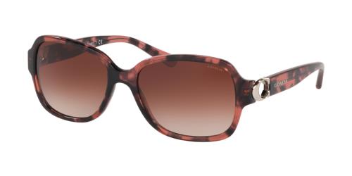 Picture of Coach Sunglasses HC8241
