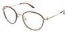Picture of Bcbgmaxazria Eyeglasses ADELINA