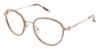 Picture of Bcbgmaxazria Eyeglasses ADELINA