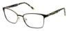 Picture of Bcbgmaxazria Eyeglasses CARMELLA