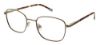 Picture of Izod Eyeglasses 2079