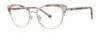 Picture of Vera Wang Eyeglasses V568