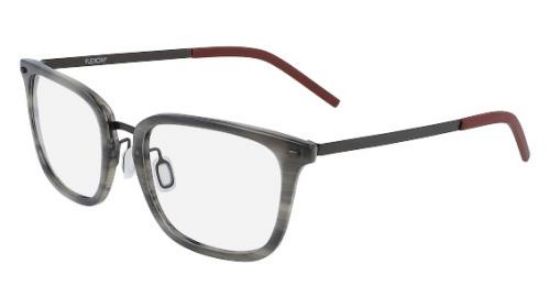 Picture of Flexon Eyeglasses B2020