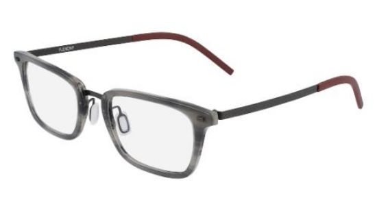 Picture of Flexon Eyeglasses B2021