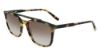 Picture of Lacoste Sunglasses L924S