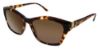 Picture of Bcbgmaxazria Sunglasses DEVOUR