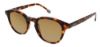 Picture of Izod Sunglasses 782