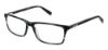 Picture of Steve Madden Eyeglasses SHADDDOW