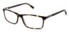 Picture of Steve Madden Eyeglasses SHADDDOW