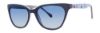 Picture of Lilly Pulitzer Sunglasses RAVENNA