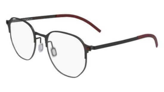 Picture of Flexon Eyeglasses B2032
