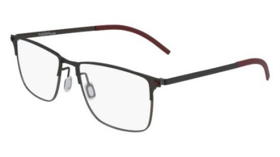 Picture of Flexon Eyeglasses B2031