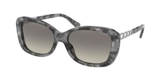 Picture of Coach Sunglasses HC8286