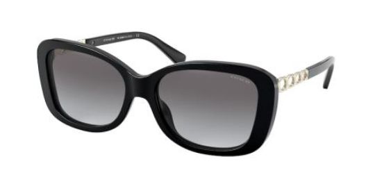 Picture of Coach Sunglasses HC8286F