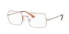 Picture of Ray Ban Eyeglasses RX1969V