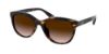 Picture of Coach Sunglasses HC8285U