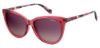 Picture of Polaroid Sunglasses PLD 6104/S/X