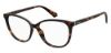 Picture of Polaroid Eyeglasses PLD D 372