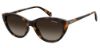 Picture of Polaroid Sunglasses PLD 4080/S