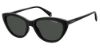 Picture of Polaroid Sunglasses PLD 4080/S