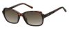 Picture of Fossil Sunglasses 3095/S