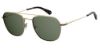 Picture of Polaroid Sunglasses PLD 2084/G/S