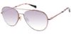 Picture of Rag & Bone Sunglasses 1036/G/S