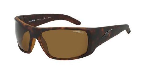 Picture of Arnette Sunglasses AN4179