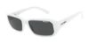 Picture of Arnette Sunglasses AN4265