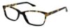 Picture of Steve Madden Eyeglasses CARMMEN