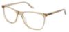 Picture of Steve Madden Eyeglasses RAYNE