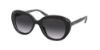 Picture of Coach Sunglasses HC8289