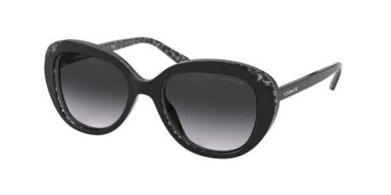 Picture of Coach Sunglasses HC8289