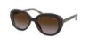 Picture of Coach Sunglasses HC8289F