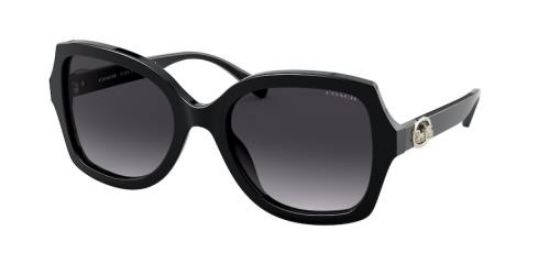 Picture of Coach Sunglasses HC8295F