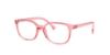 Picture of Ray Ban Jr Eyeglasses RY1900