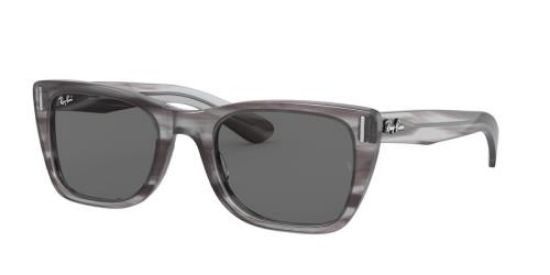 Picture of Ray Ban Sunglasses RB2248