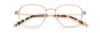 Picture of Paradigm Eyeglasses 19-01