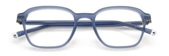Picture of Paradigm Eyeglasses 19-21