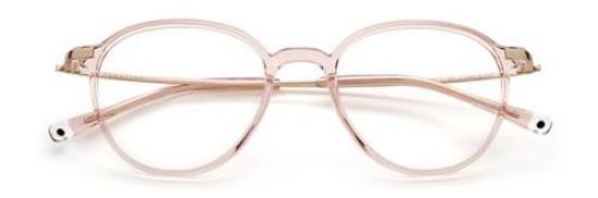 Picture of Paradigm Eyeglasses 19-23