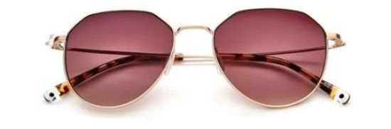Picture of Paradigm Sunglasses 19-30