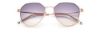 Picture of Paradigm Sunglasses 19-30