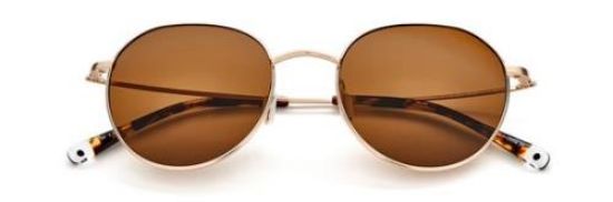Picture of Paradigm Sunglasses 19-32