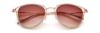 Picture of Paradigm Sunglasses 19-36