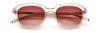 Picture of Paradigm Sunglasses 19-41