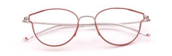Picture of Paradigm Eyeglasses 20-01